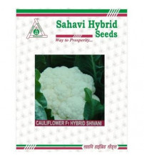 Cauliflower Shivani 10 grams